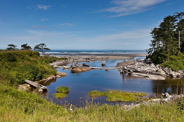 094 Olympic NP.jpg